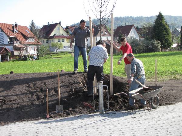 Bild 12